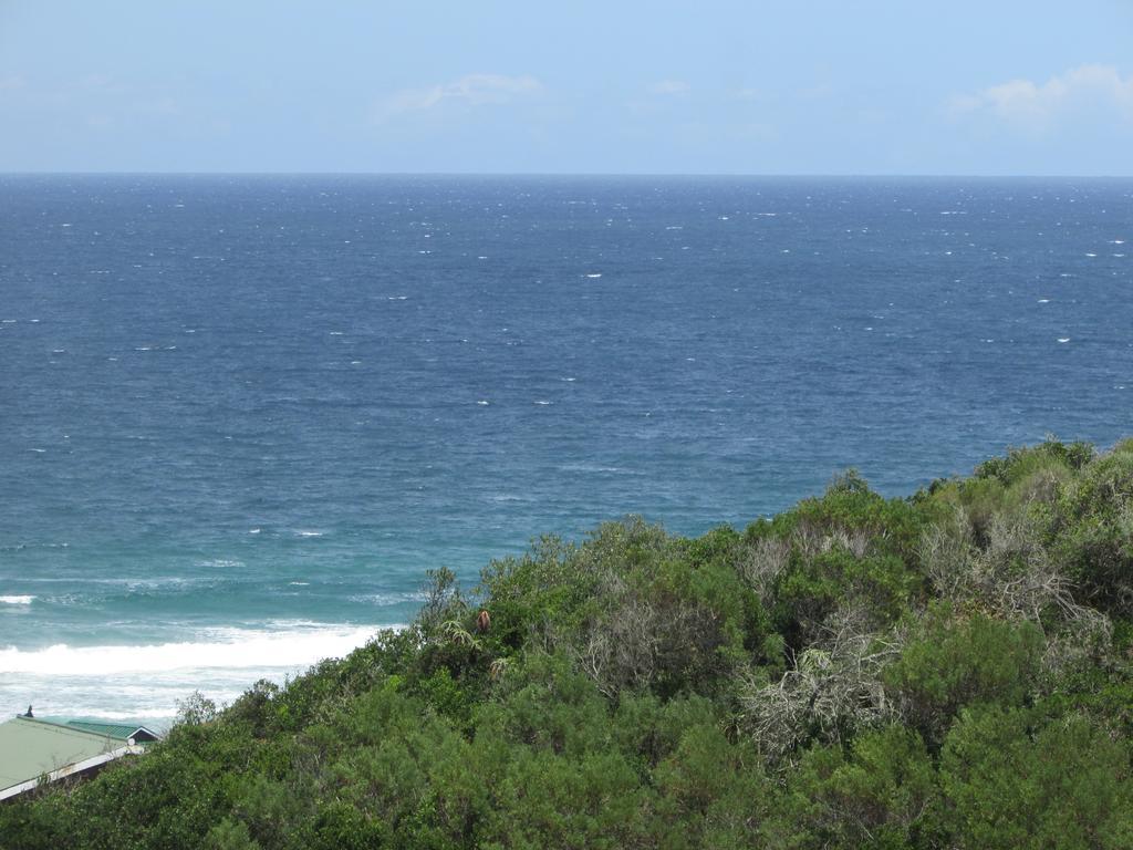 Melkhoutkloof Guest House Outeniqua Strand Rum bild