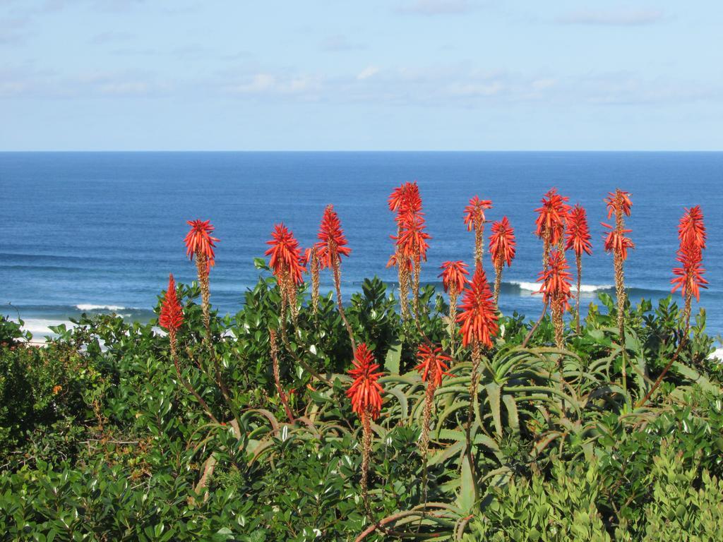 Melkhoutkloof Guest House Outeniqua Strand Exteriör bild